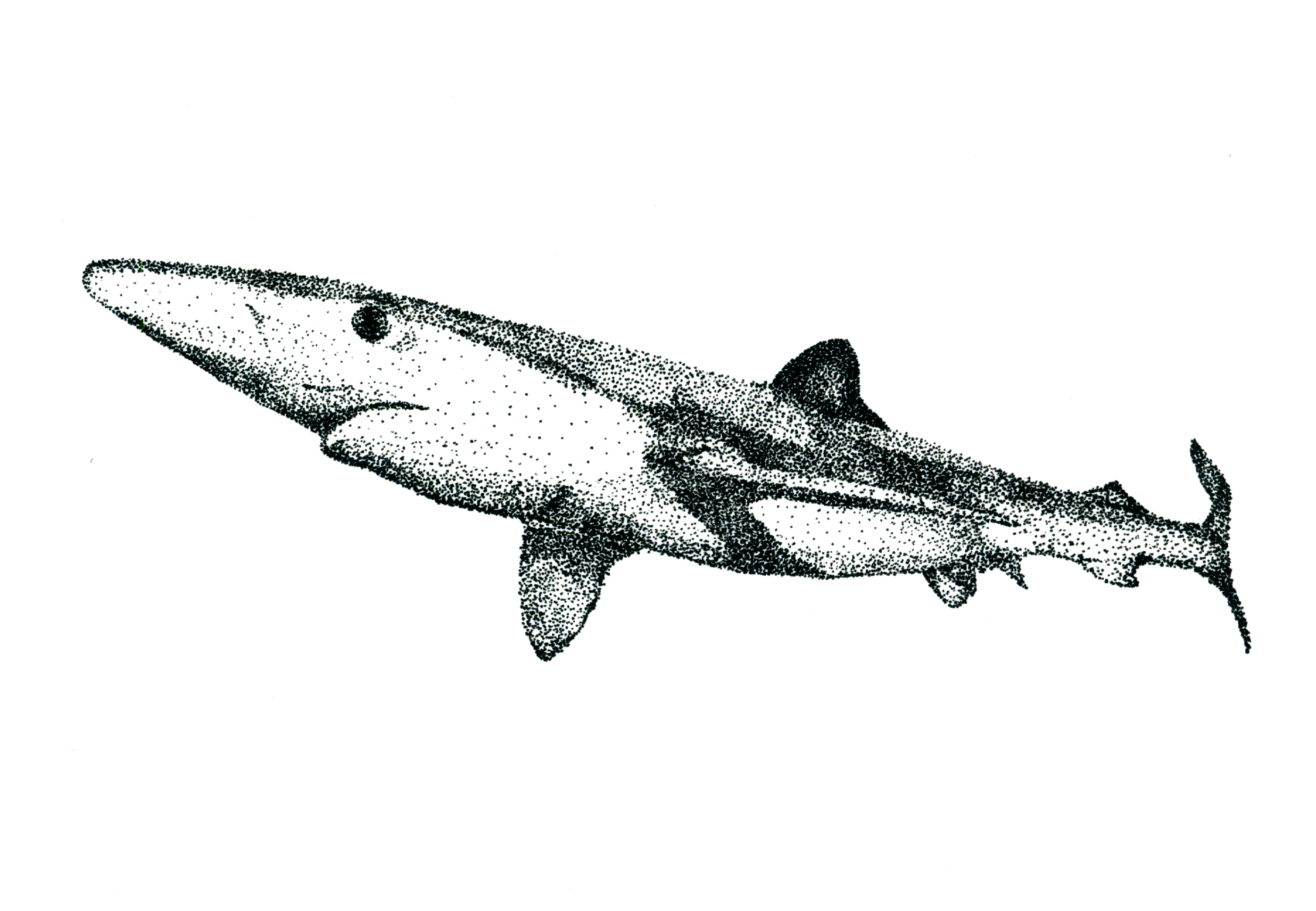Especies peligrosas
